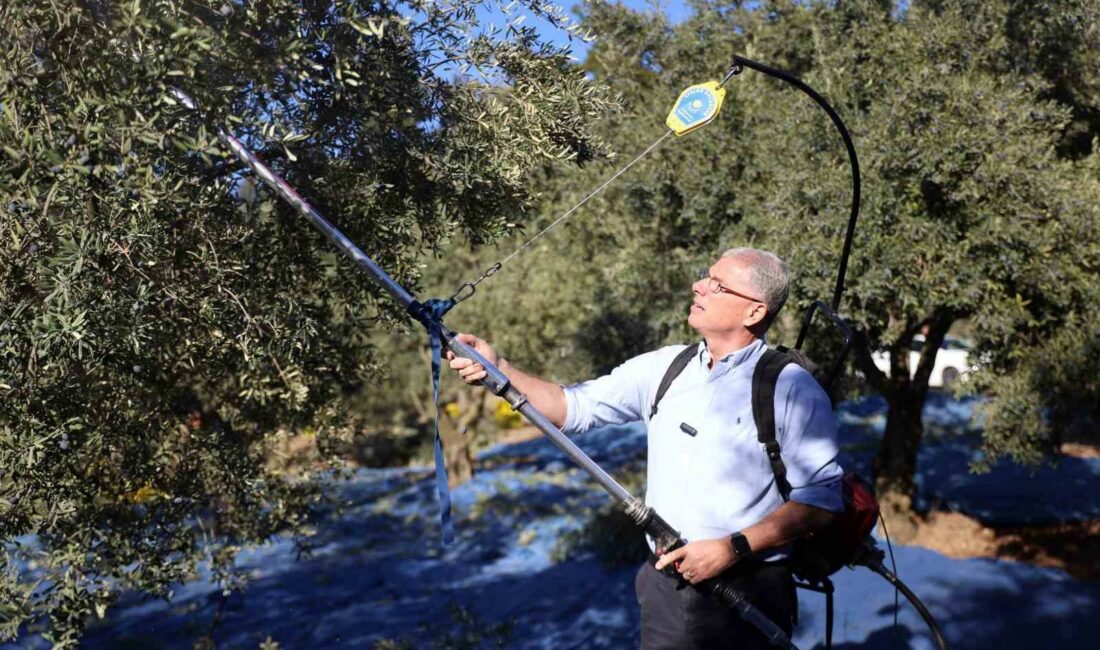 Mudanya Belediyesi zeytin üreticisinin yanında MUDANYA BELEDİYESİ ZEYTİN ÜRETİCİSİNİN YANINDA