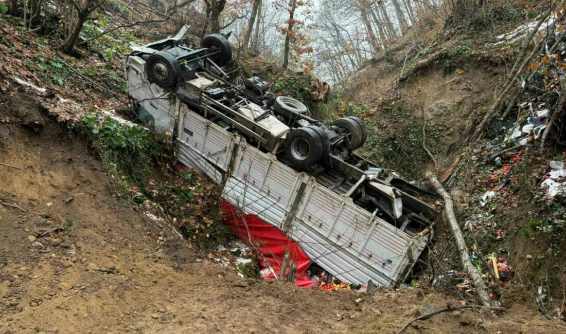 Bursa’nın İznik ilçesinde sebze yüklü kamyon kontrolden çıkarak ormana yuvarlandı.