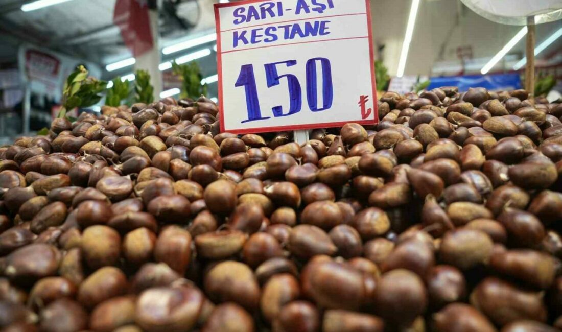 Pazarda Çin kestanesinin yerini yerli kestane aldı Geçtiğimiz yıl yerli kestane rekoltesindeki düşüklük ve talebe karşılık verebilmek