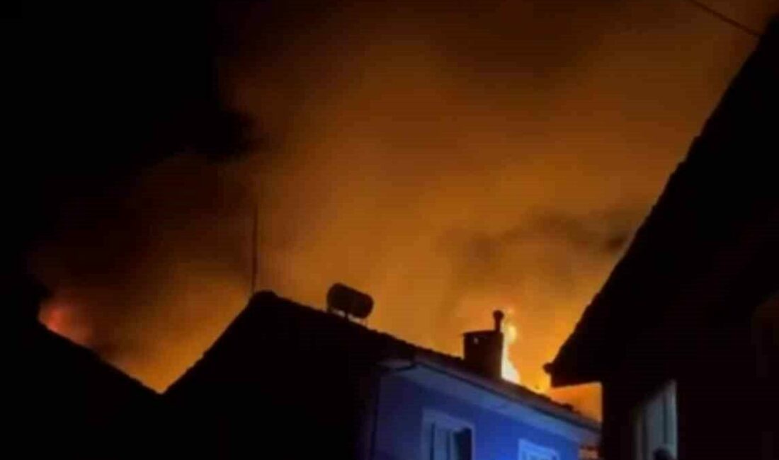 Sobadan çıkan yangın 3 evi küle çevirdi Bursa’nın Kestel ilçesinde bir evde çıkan yangın bitişiğindeki evlere sıçradı.