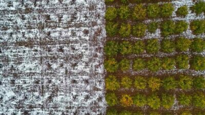 Sonbahar renklerinin kar ile buluşması kartpostallık görüntüleri ortaya çıkarttı. Uludağ