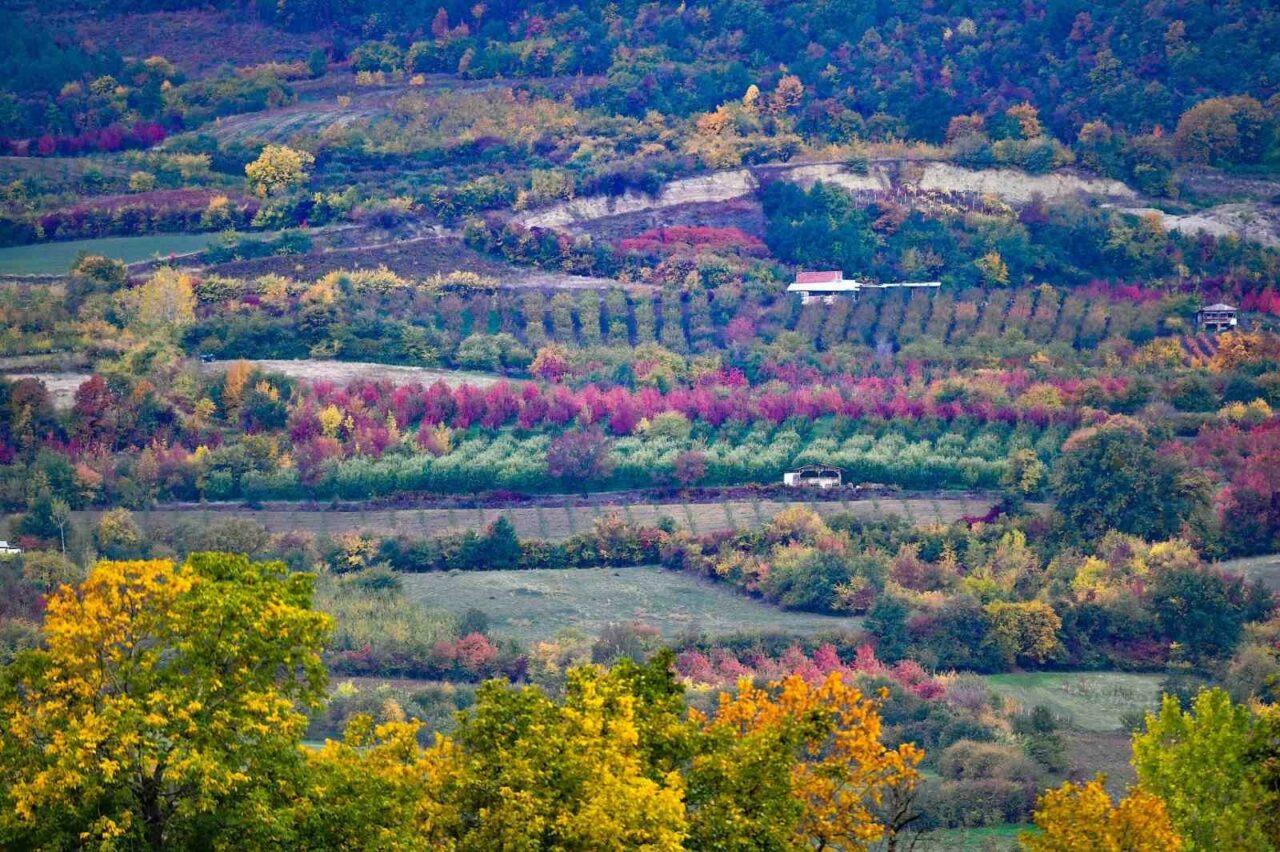 ULUDAĞ'IN ETEKLERİNDE MÜTHİŞ GÖRÜNTÜLER