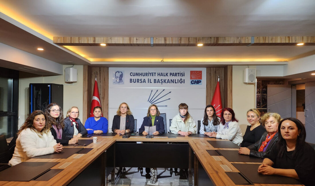 CHP’li kadınlardan Dünya Çocuk Hakları Günü açıklaması CHP Bursa İl Kadın Kolları 20 Kasım Dünya Çocuk Hakları