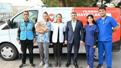 Yıldırım Belediyesi, yaralı ve yardıma muhtaç can dostlarına acil müdahale