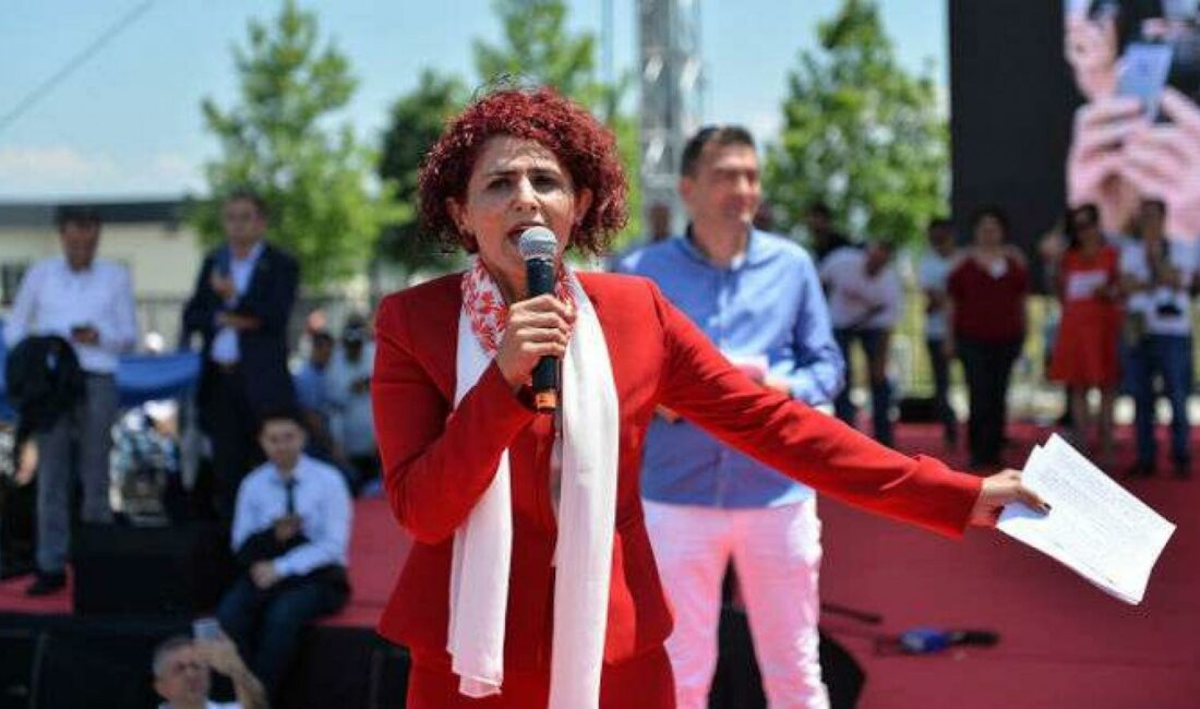 Emekli ve Emekçi Dernekleri Federasyonu (EMED-FED) Başkanı Gönül Boran Özüpak,