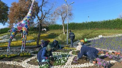 Osmangazi Belediyesi, kış döneminde 300 bin mevsimlik çiçeği toprak ile