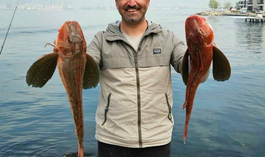 Amatör balıkçı toplam 6 buçuk kiloluk 2 balık yakaladı, o anlar kamerada Bursa’nın İnegöl ilçesine yaşayan ve amatör balıkçılık yapan Şaban Kılıçcı,