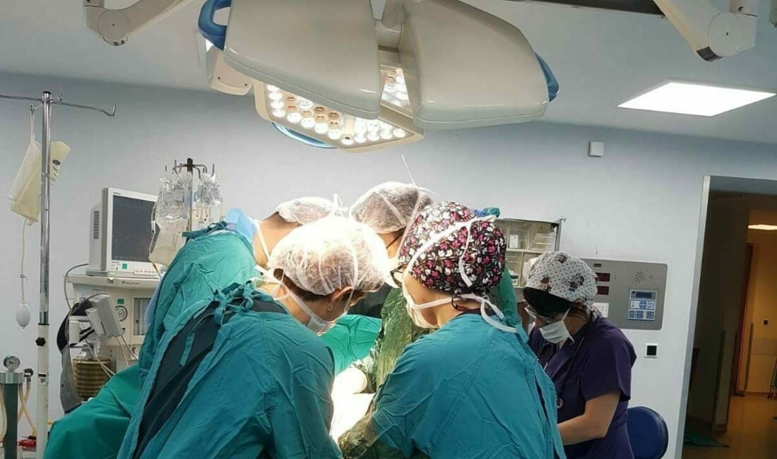 Bağışladığı organları 3 hastaya ümit oldu Bursa’da beyin ölümü gerçekleşen 65 yaşındaki Ali Veysel Küçüksoy, organları