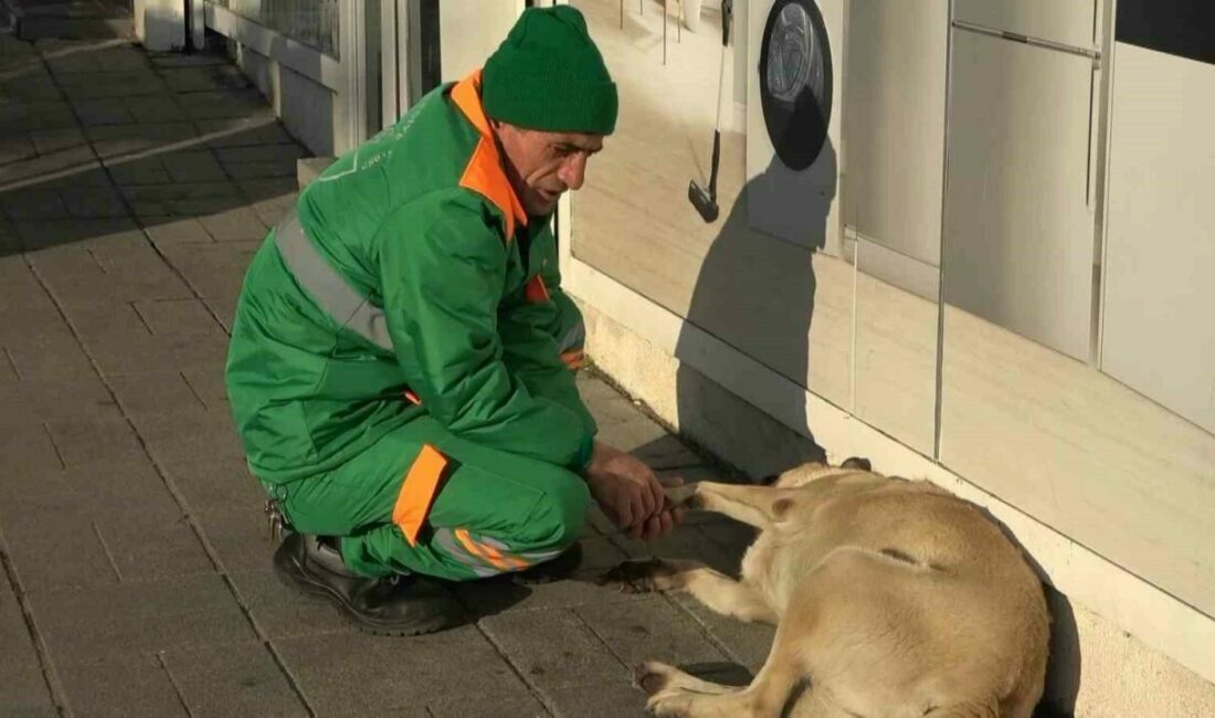 Bursa’da sokak köpeğiyle oynarken görüntülenen temizlik işçisi, videonun sosyal medyada