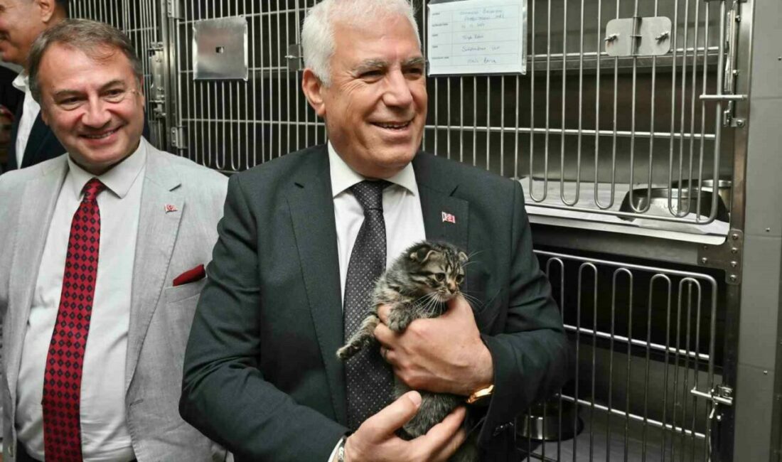 Bursa Büyükşehir’den can dostlara şefkat Bursa’nın 17 ilçesinde sokak hayvanlarına sahip çıkan Büyükşehir Belediyesi, 2024