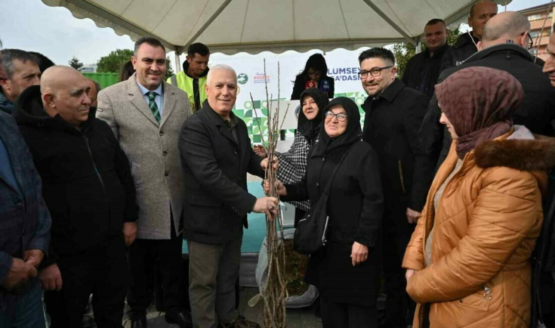 Bursa Büyükşehir Belediyesi’nin kırsal kalkınma hedefleri doğrultusunda yaklaşık 75 bin