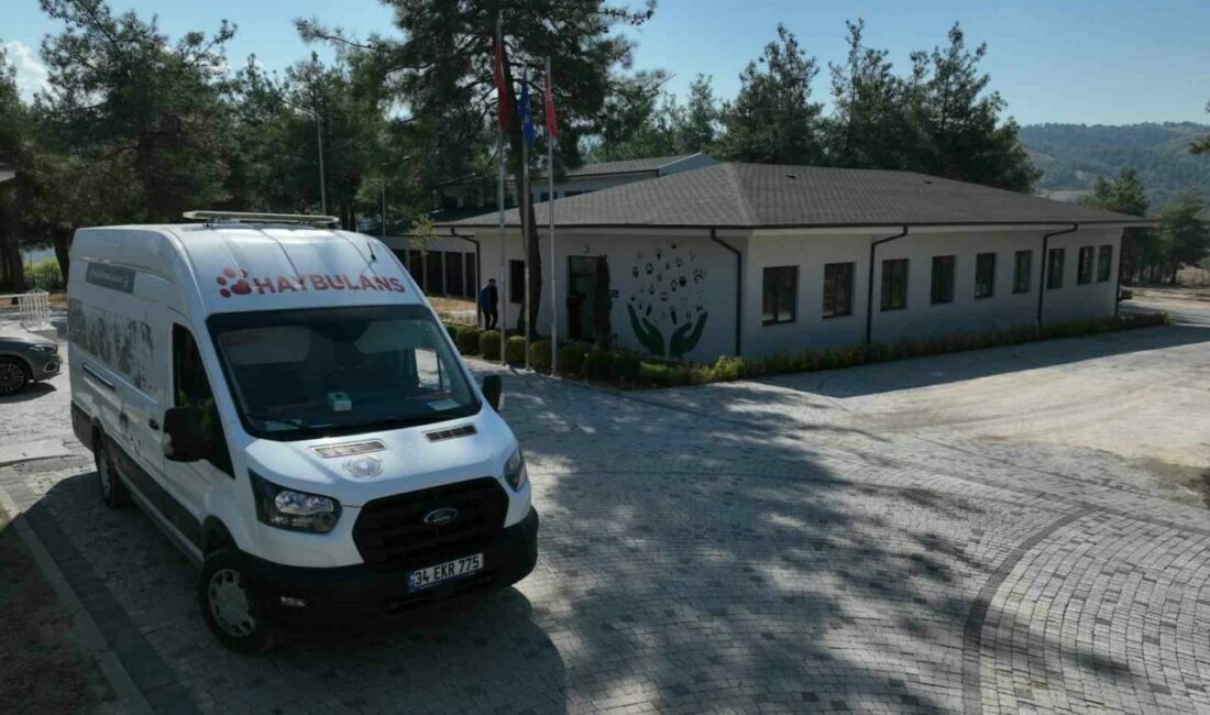 Bursa’da can dostlar yeni yuvalarına kavuşuyor Bursa Büyükşehir Belediyesi’nin can dostları korumak ve onlara yuva kazandırmak