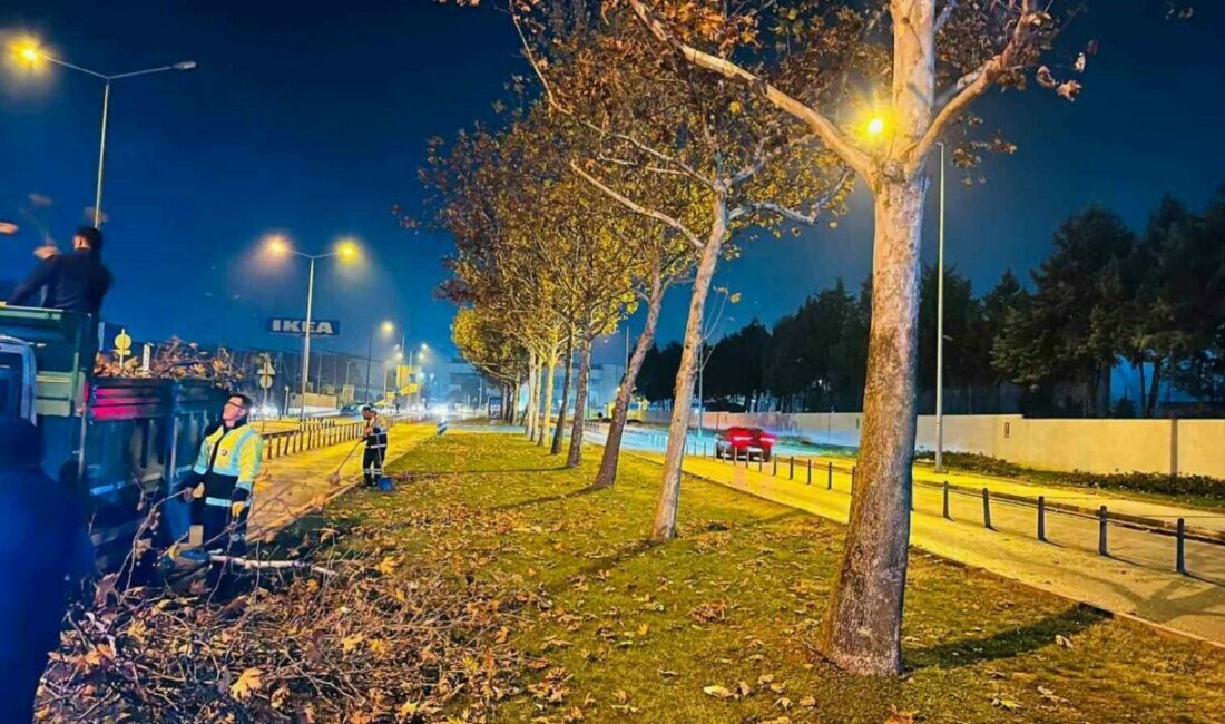Bursa’da çınar ağaçlarına kış bakımı Bursa Büyükşehir Belediyesi, kentin ‘yeşil’ kimliğini öne çıkarmak hedefiyle park,