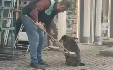 Bursa’da bir vatandaş elindeki fırçasıyla sokak köpeğini temizledi. Vatandaşın köpekle