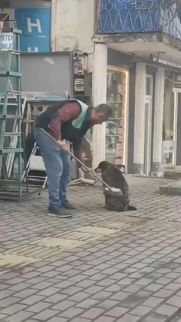 Bursa’da iç ısıtan görüntüler Bursa’da bir vatandaş elindeki fırçasıyla sokak köpeğini temizledi. Vatandaşın köpekle