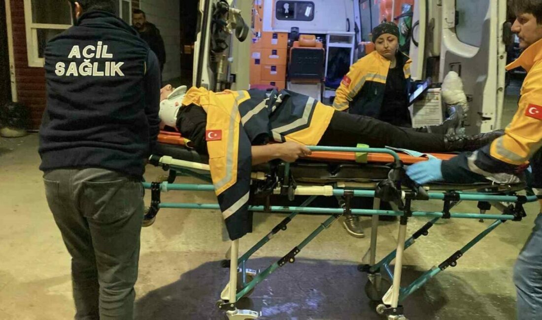 Bursa’da iki otomobil çarpıştı: 1 yaralı Bursa’nın İnegöl ilçesinde iki otomobilin çarpıştığı trafik kazasında 1 kişi