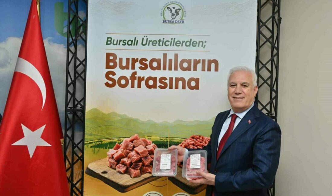 Bursa’da ucuz et ve kıyma dönemi Bursa Büyükşehir Belediyesi iştiraklerinden BESAŞ, bir yandan üreticilere destek verip