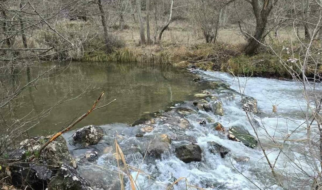 Bursa’nın Keles ilçesinde bulunan Kocasu Çayı’nda, rafting tutkunları için önemli