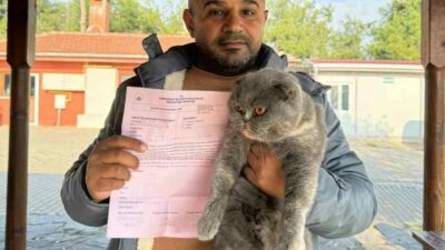 Osmangazi Belediyesi, 2024 yılında 693 kedi ve köpeğin yeni yuvalara