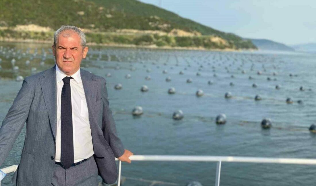 Çiftlik midyesi üretimi 4 yılda ikiye katladı hedef 50 bin ton Yalova, Balıkesir ve Çanakkale İlleri Midye Yetiştiricileri Üretici Birliği Başkanı