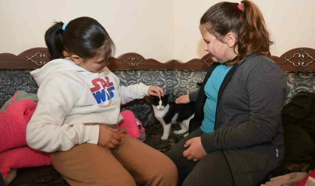 Çocuklara hayvan sevgisi ve kitap okuma alışkanlığı kazandıran buluşma Osmangazi Belediyesi, çocuklara kitap okuma alışkanlığı ve hayvan sevgisi kazandırmak