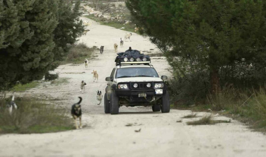 Bursa’da off-road tutkusu sayesinde kırsal alanlarda yüzlerce terk edilmiş sokak