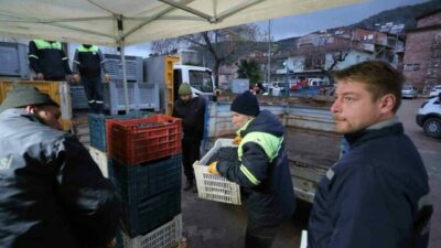 Gemlik Belediyesi, tarıma olan desteğini her geçen gün artırmaya devam