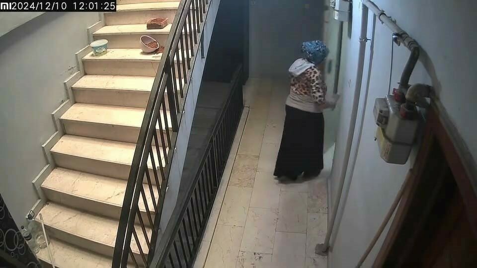 Bursa’nın İnegöl ilçesinde meydana gelen olayda havlayan köpek, apartmana girip