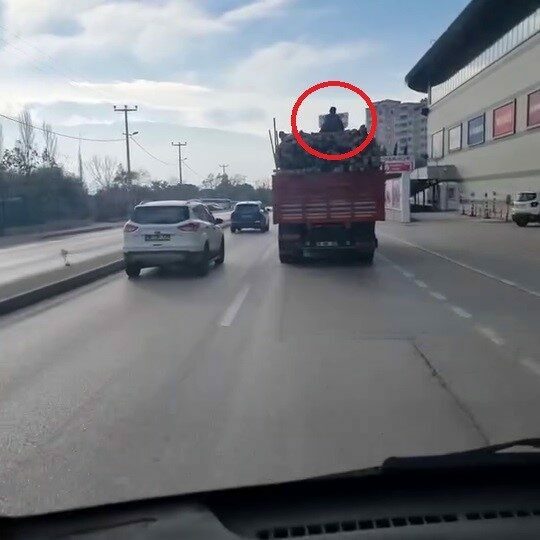 Kereste yüklü kamyonun üstünde ölüme meydan okudular Bursa’da 2 genç, kereste yüklü kamyonun üzerinde seyredip tehlikeli yolculuk