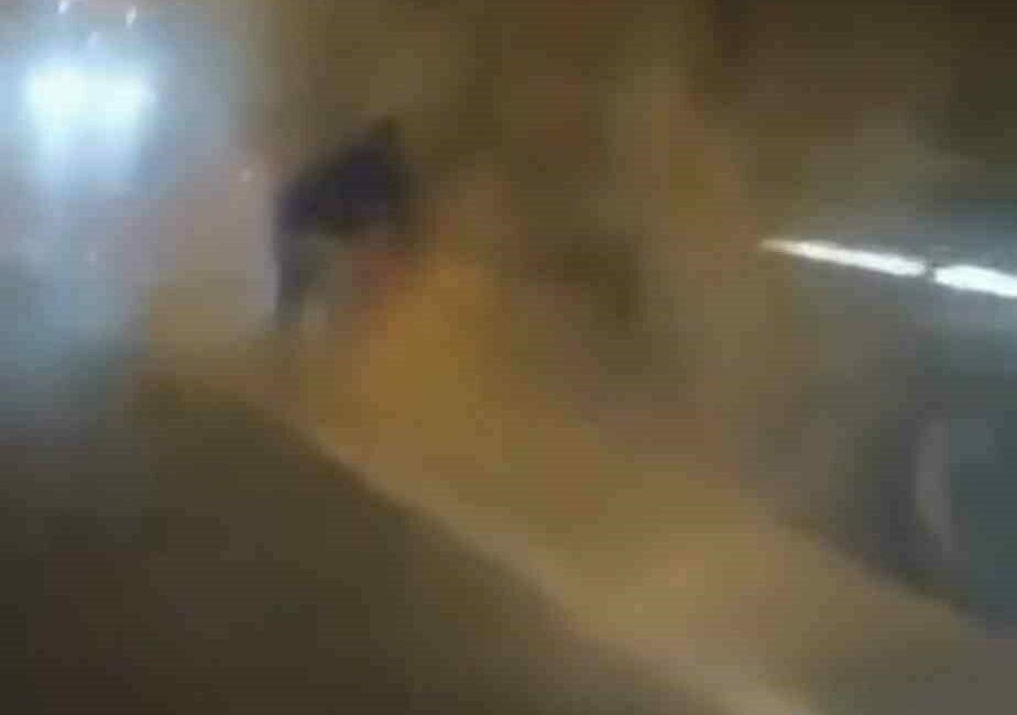 Lastiği tutuşan tırı hızlı müdahale ile kül olmaktan kurtardılar Bursa’da seyir halindeki pancar yüklü tırın lastikleri alev aldı. Yoldan