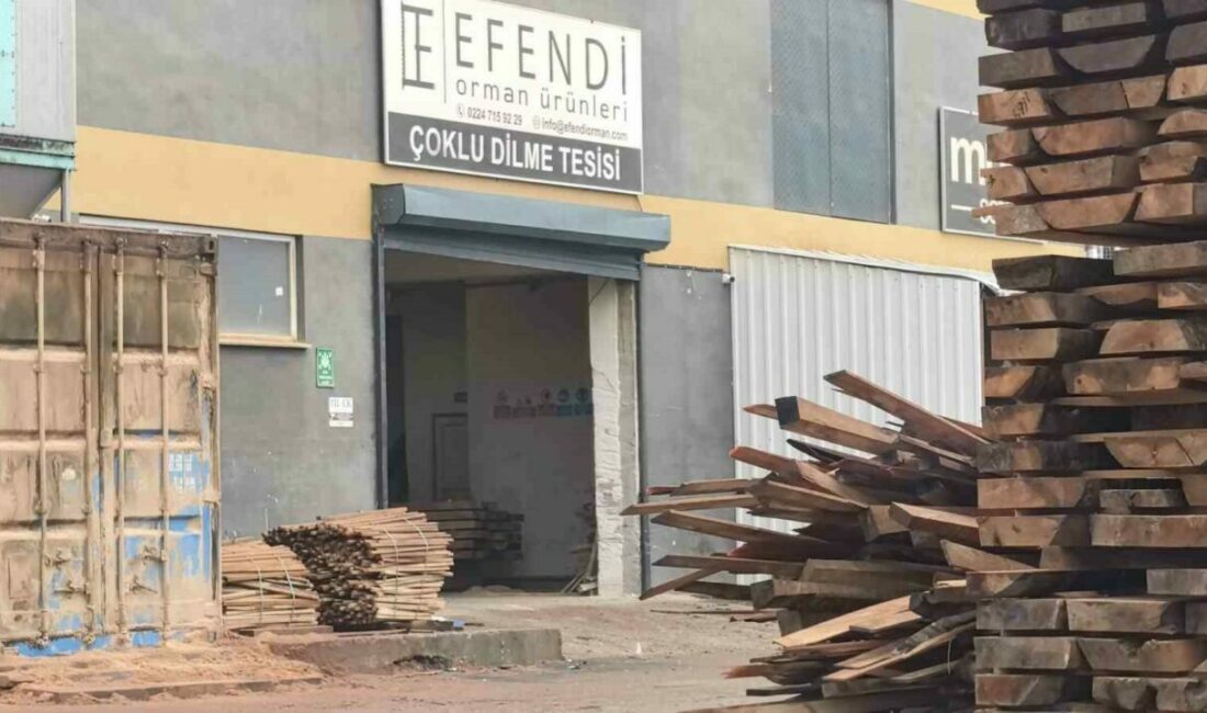 Makineden fırlayan ahşap parçası bacağına saplanan işçi hayatını kaybetti Bursa’nın İnegöl ilçesinde faaliyet gösteren orman ürünleri fabrikasında meydana gelen