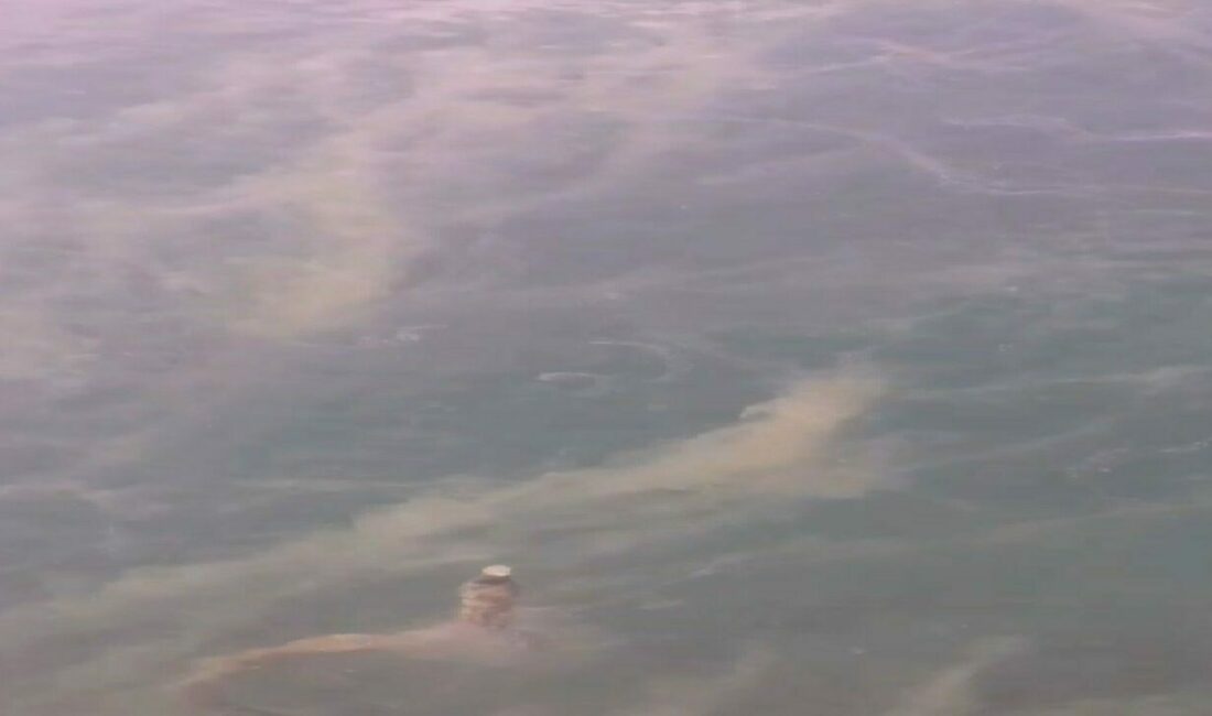 Marmara Denizi’nde müsilaj kabusu geri döndü. Uzmanlar, kısa süre içerisinde