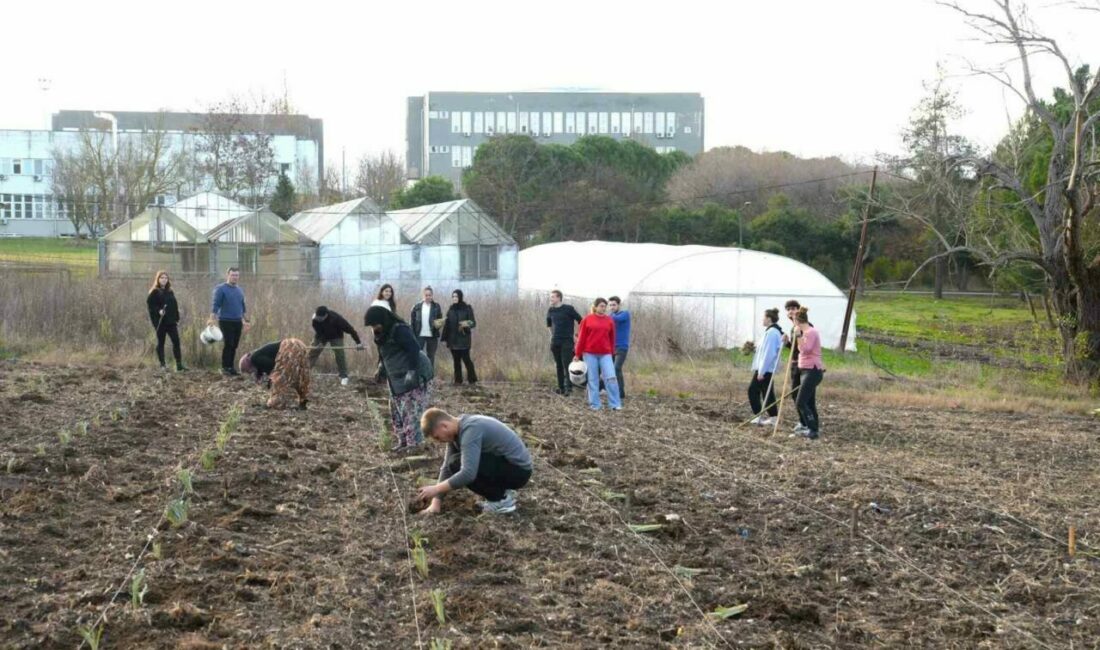 Organik enginarlar BUÜ Ziraat Fakültesi’nden Bursa Uludağ Üniversitesi (BUÜ) Ziraat Fakültesi bünyesinde öğrencilerin teorik ve
