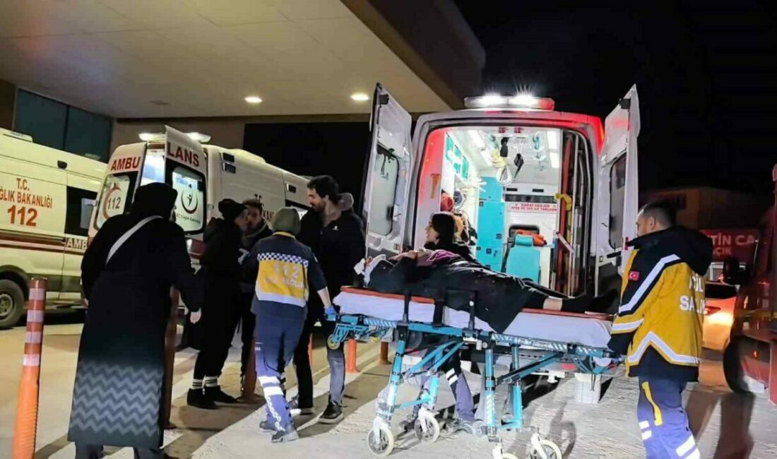 Şarampole uçan otomobilden yaralı kurtulan kadın hayatını kaybetti Bursa’nın İnegöl ilçesinde meydana gelen kazada kontrolden çıkarak şarampole uçan
