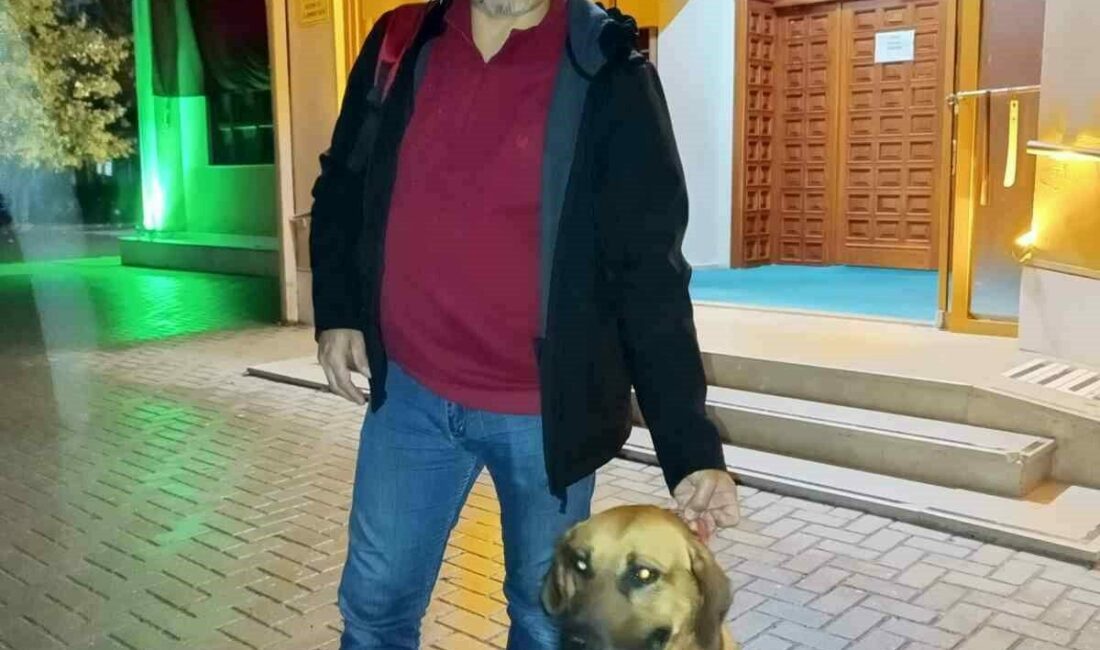 Tarçın’ın cami nöbeti Bursa’da Tarçın isimli köpek, 5 vakit camiye giden sahibini hiç
