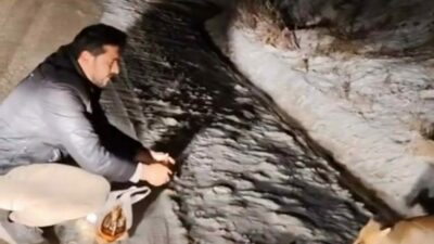 Bursa Uludağ Yolunda gezintiye çıkan iki arkadaş yolda gördükleri tilkiye