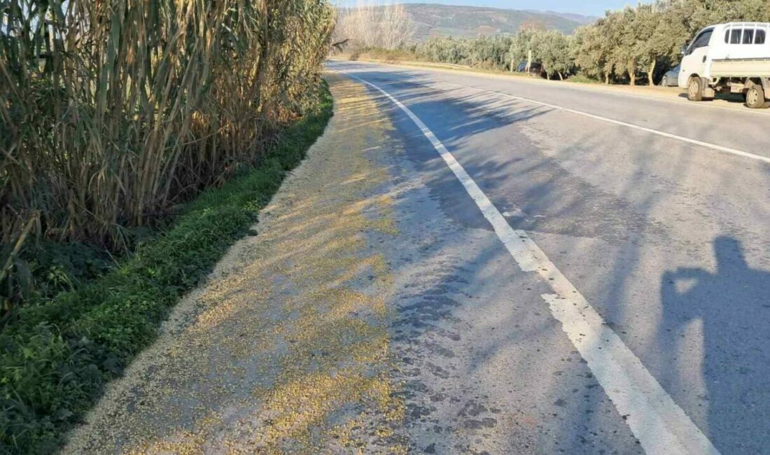 Tonlarca fasulye yollara saçıldı Bursa’nın İznik ilçesinde kamyonun kasasındaki çuvallardan dökülen soya fasulyeleri, kilometrelerce