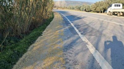 Bursa’nın İznik ilçesinde kamyonun kasasındaki çuvallardan dökülen soya fasulyeleri, kilometrelerce