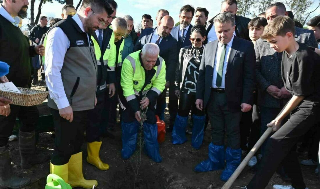 Zeytin fidanları toprakla buluştu Bursa Büyükşehir Belediyesi iştiraklerinden Tarım Peyzaj AŞ ile Hamidiye Tarım