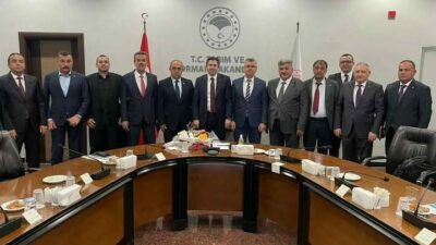 Ziraat odaları, zeytin için Tarım ve Orman Bakanlığında buluştu. Gemlik,