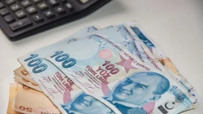 Emekli ve Emekçi Dernekleri Federasyonu (EMED-FED) Başkanı Gönül Boran Özüpak,