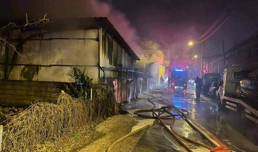 Alevlere teslim olan oto galeride 10 araç küle döndü Bursa’da oto galeriye ait park alanında çıkan yangında 10 araç