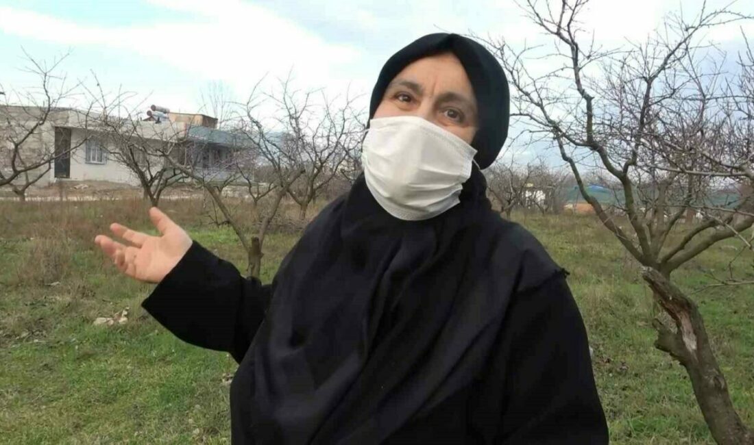 Bursa’da babasından miras kalan 3 dönüm arsayı satmak isteyen yaşlı