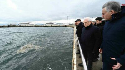 Bursa Büyükşehir Belediye Başkanı Mustafa Bozbey, Marmara Denizi’nde tekrar görülmeye