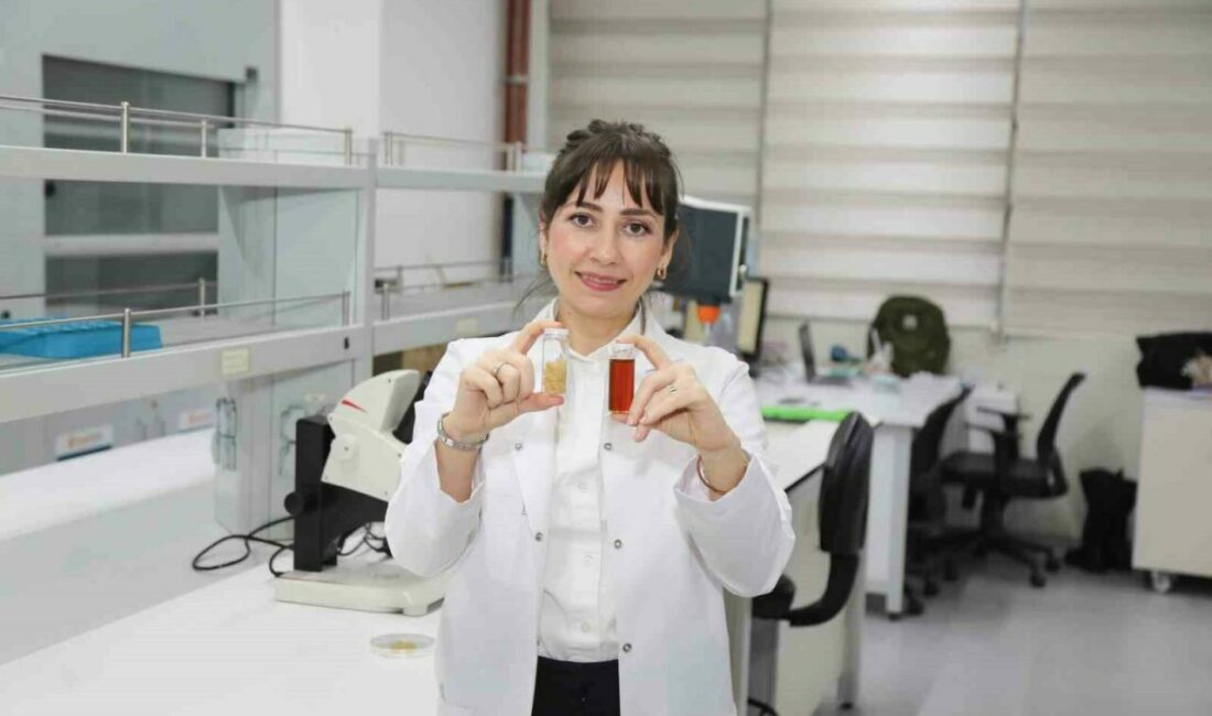 BTÜ’den bağırsak sağlığını destekleyen yeni gıda takviyesi Bursa Teknik Üniversitesi (BTÜ) akademisyenleri, balın prebiyotik özelliklerini probiyotiklerle birleştirerek