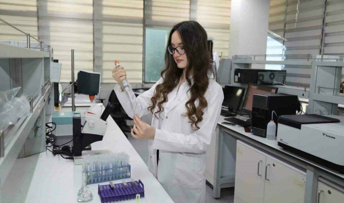 BTÜ’nün bitkisel atık projesine TÜBİTAK desteği BTÜ’de doğal kaynakların daha verimli ve sürdürülebilir şekilde kullanılması için