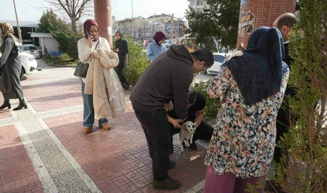 Bursa’da 4 büyüklüğünde deprem meydana geldi. Afet ve Acil Durum