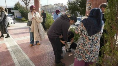 Bursa’da 4 büyüklüğünde deprem meydana geldi. Afet ve Acil Durum