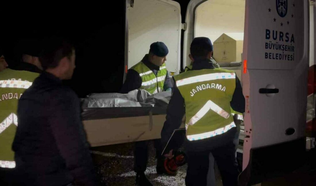 Bursa’da aranan 18 yaşındaki gencin cesedi ormanda yanmış halde bulundu Bursa’nın İznik ilçesinde kayıp olan 18 yaşındaki gencin cansız bedeni,
