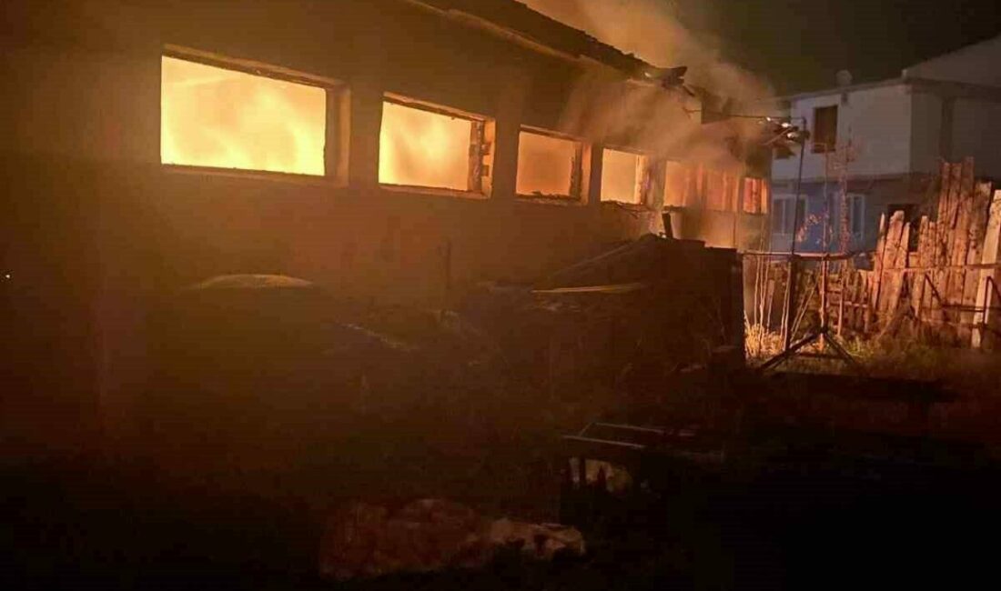 Bursa’da büyükbaş hayvan çiftliğinde yangın Bursa’nın İnegöl ilçesinde büyükbaş hayvan çiftliğinde çıkan yangın, itfaiye ekipleri
